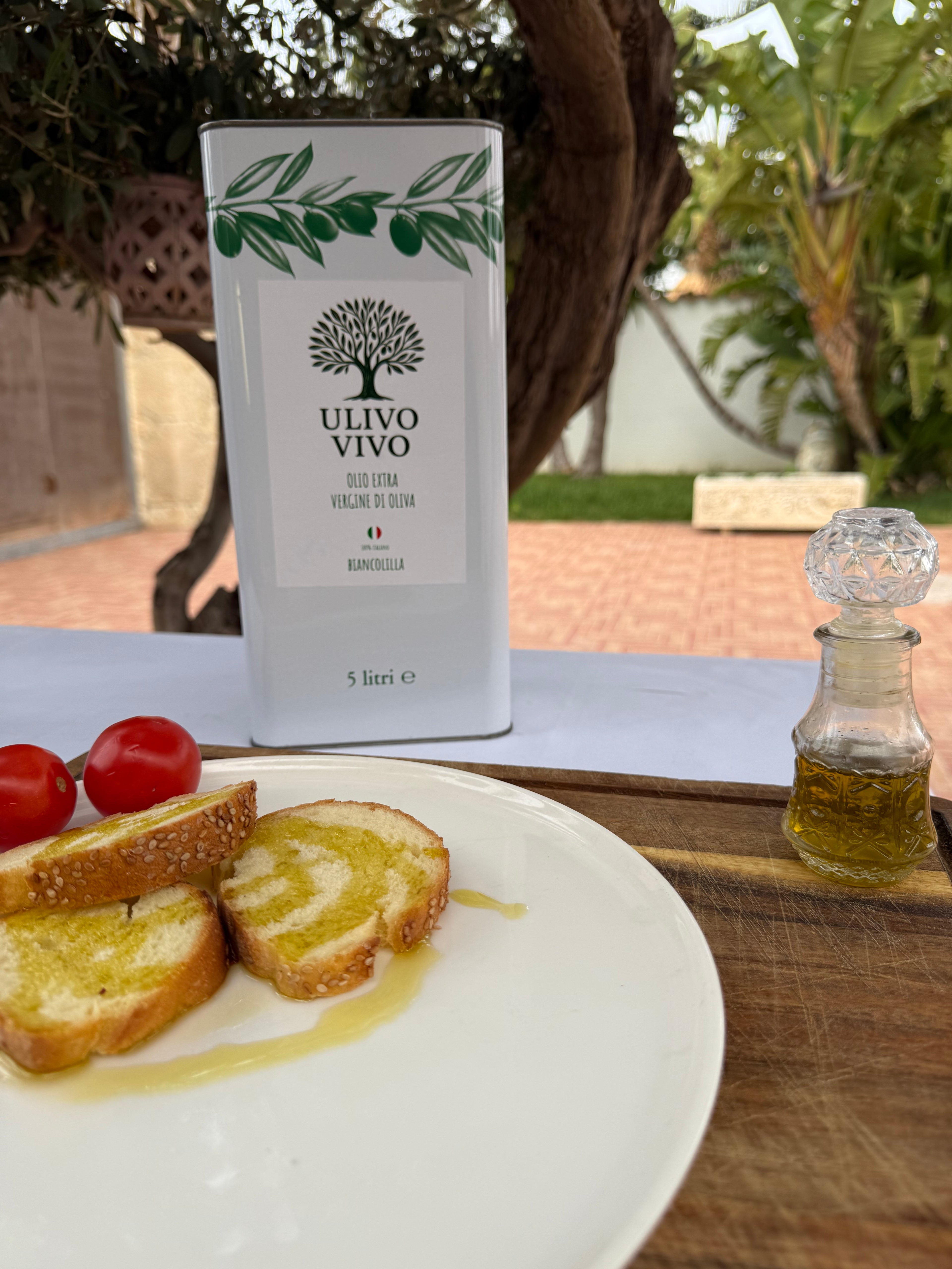 Olio Extravergine Biancolilla 5L - Monocultivar Delicato | Ulivo Vivo
