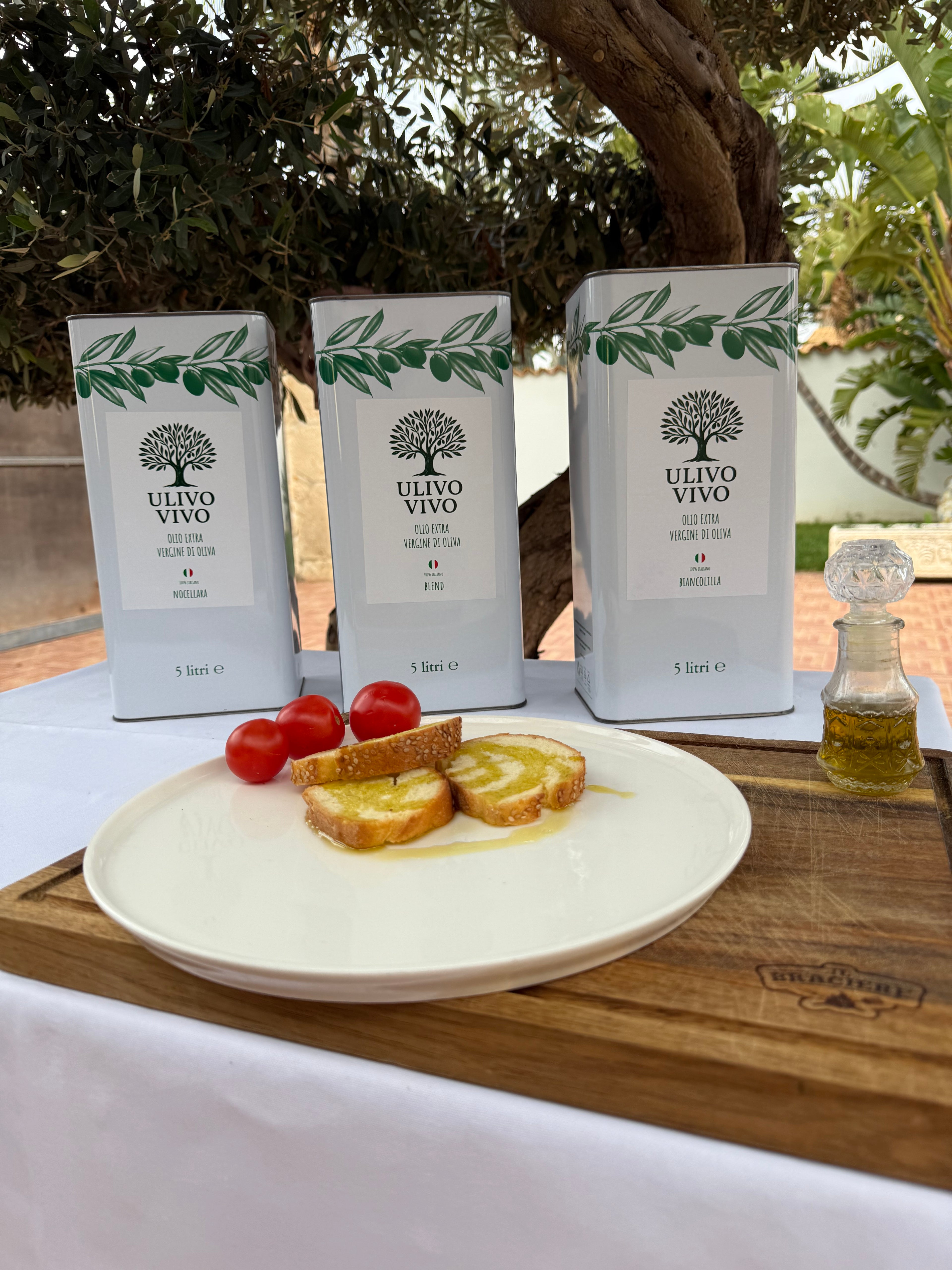 Scorta Famiglia Olio Extravergine 5L - 3 Latte | Ulivo Vivo