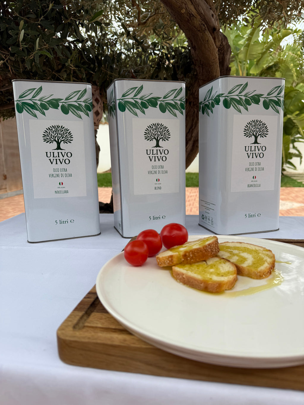 Scorta Famiglia Olio Extravergine 5L - 3 Latte | Ulivo Vivo