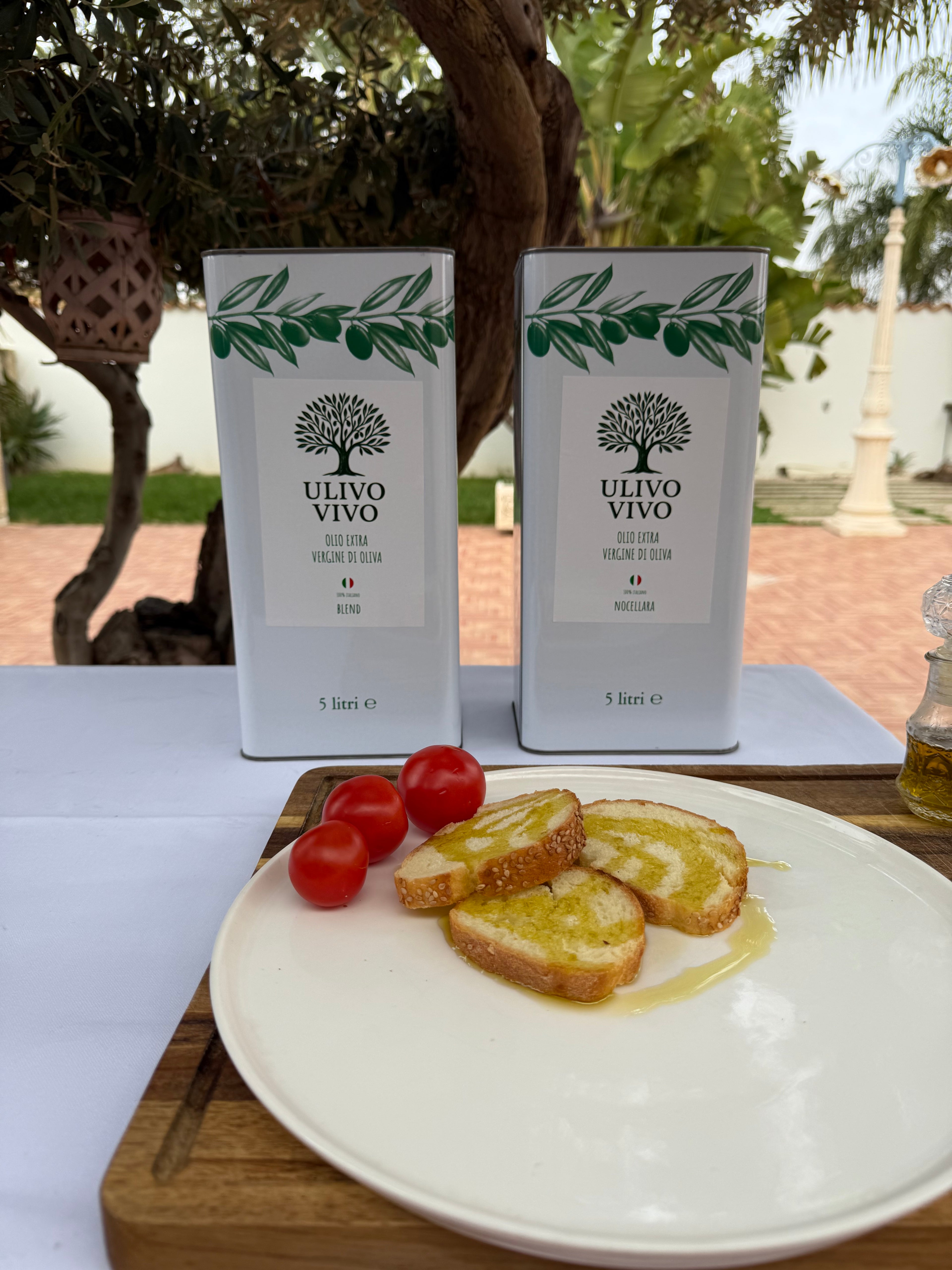 Scorta Casa Olio Extravergine 5L - 2 Latte | Ulivo Vivo