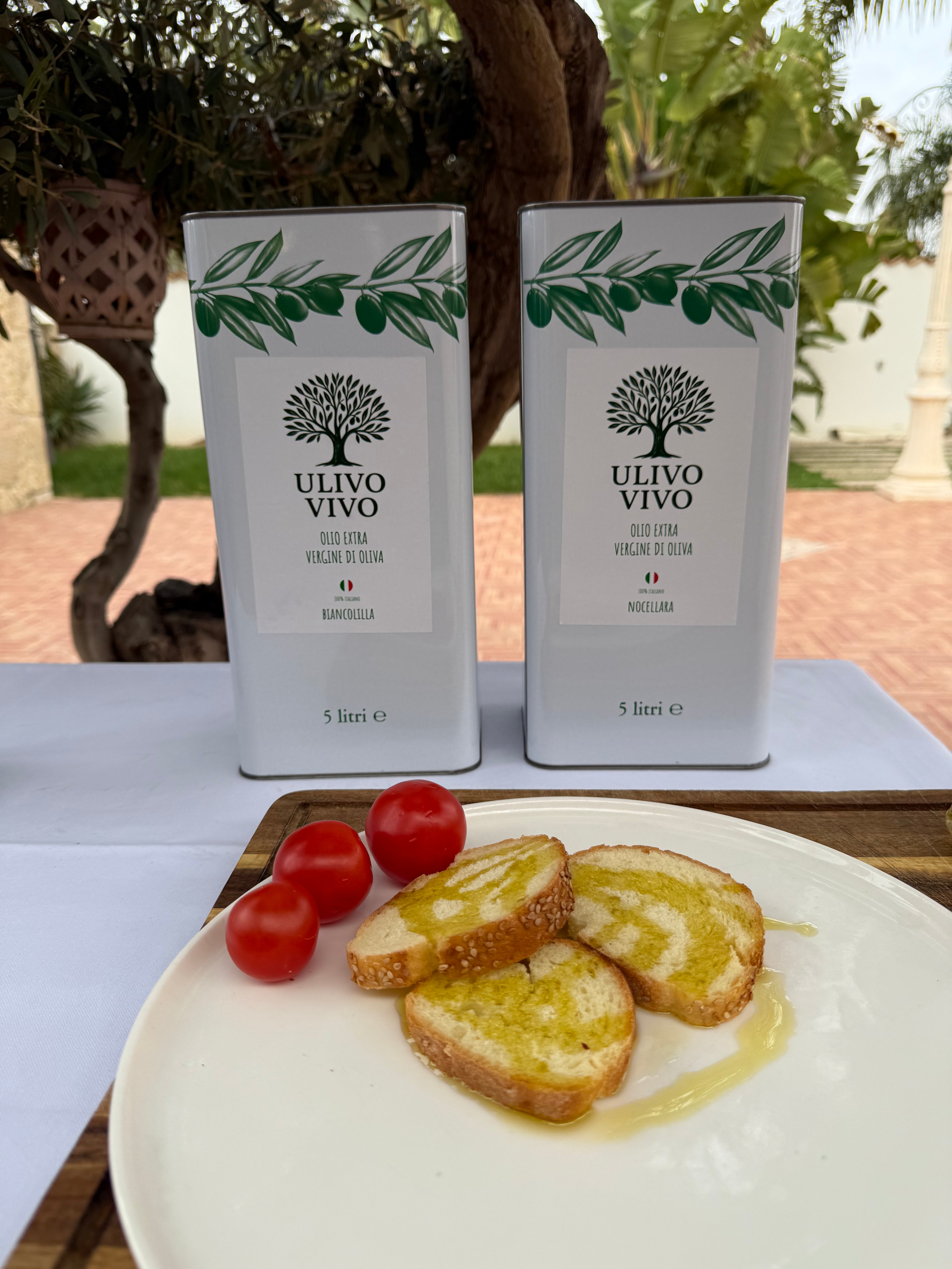 Scorta Casa Olio Extravergine 5L - 2 Latte | Ulivo Vivo