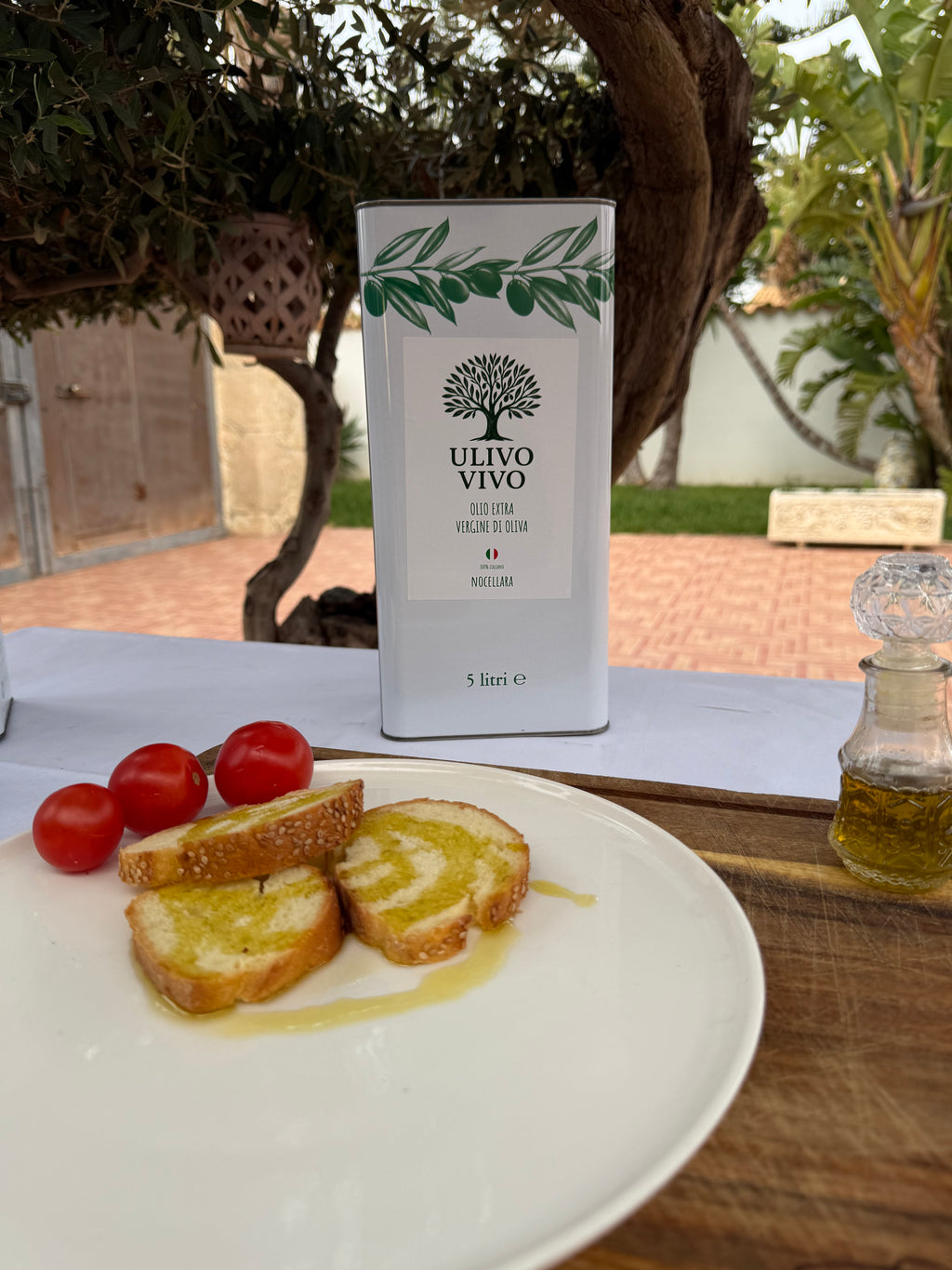 Olio Extravergine Nocellara 5L - Monocultivar Siciliano | Ulivo Vivo
